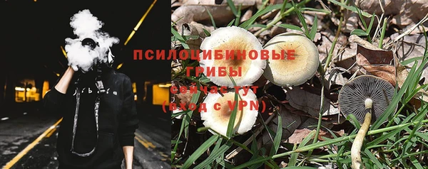 spice Надым