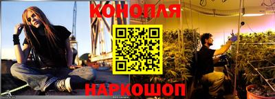 прущие грибы Балашиха