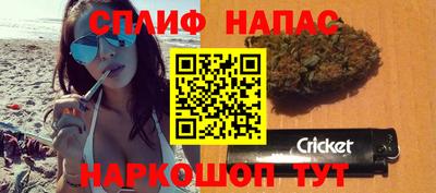 прущие грибы Балашиха