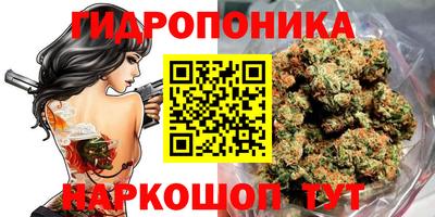 бошки Заволжье