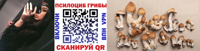 продажа наркотиков  Тольятти  Галлюциногенные грибы GOLDEN TEACHER 