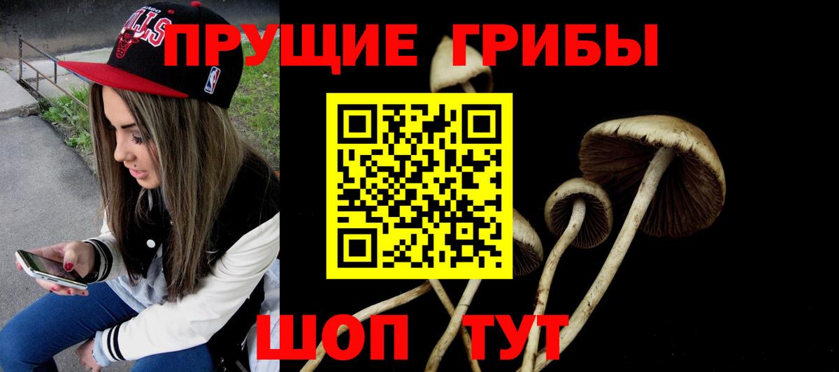 даркнет сайт  Вход с VPN  Галлюциногенные грибы прущие грибы  Тольятти  Псилоцибиновые грибы GOLDEN TEACHER 